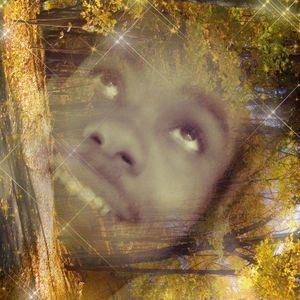 Meet your Posher, Mreltonio